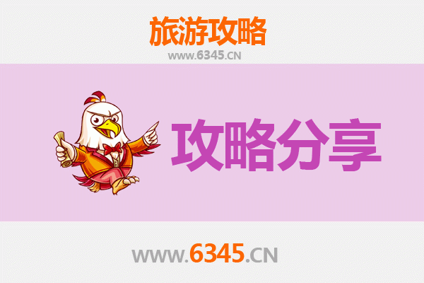 石河子新城街道旅游攻略：跟团与自由行深度对比